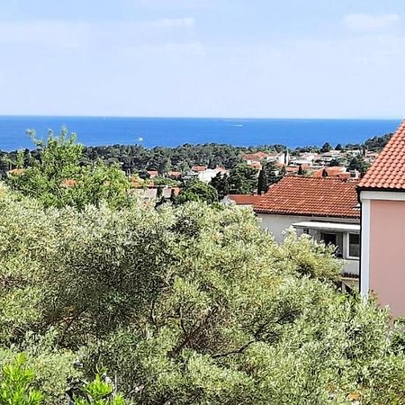 Apartment Miroslav Krk Town Kültér fotó